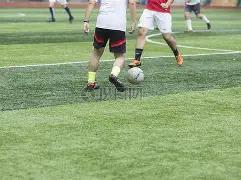 五大联赛周,末足球盛宴,豪门争霸,易币付app官网下载,易币付电脑版,易币付网页版