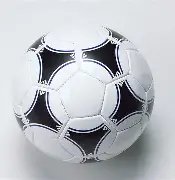 足协启动男,足国家队主,教练选拔程,易币付app官网下载,易币付电脑版,易币付网页版