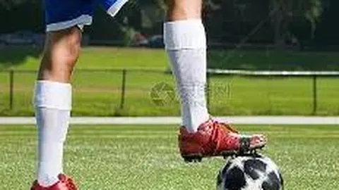 首页 ＞ 科技资讯 ＞ 文章概览