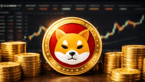 新人选拔挑战重重，备战下一届奥运目标明确