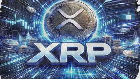 郎朗与吉娜携手看房，豪宅设施尽显奢华风采