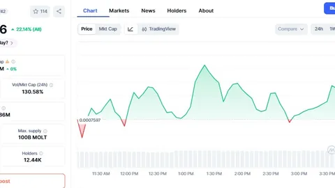 比特币面临“价格催化剂”真空期：Bitwise CEO揭示比特币市场亟待突破契机 —— 币市新动向