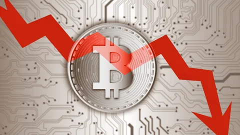 黑石巨资布局加密市场：贝莱德一次性大举注入2164枚BTC与22902枚ETH，币圈风云再起！